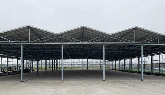 睡眠质量影响日常健康的具体原因分析